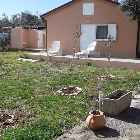Lave Ii Cozy House