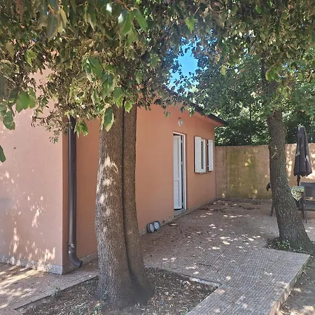 Lave Ii Cozy House